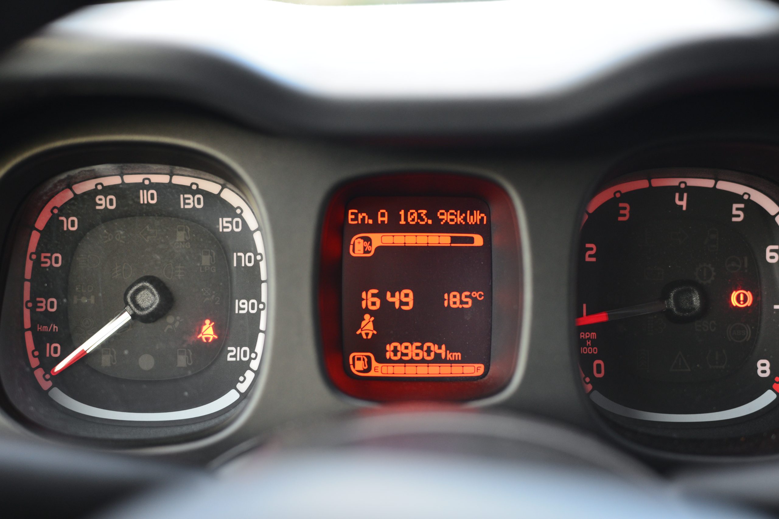 Fiat Panda 1.0 Mild Hybrid, (EURO 6d), - immagine 7